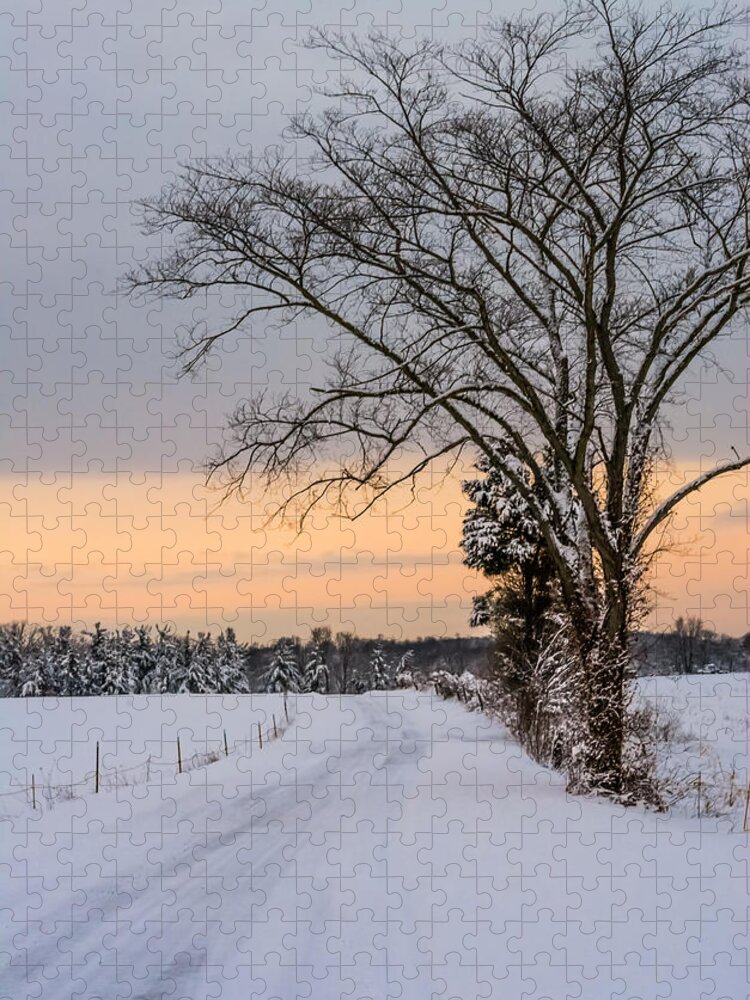 Snow Jigsaw Puzzle featuring the photograph Snowy Country Road by Holden The Moment