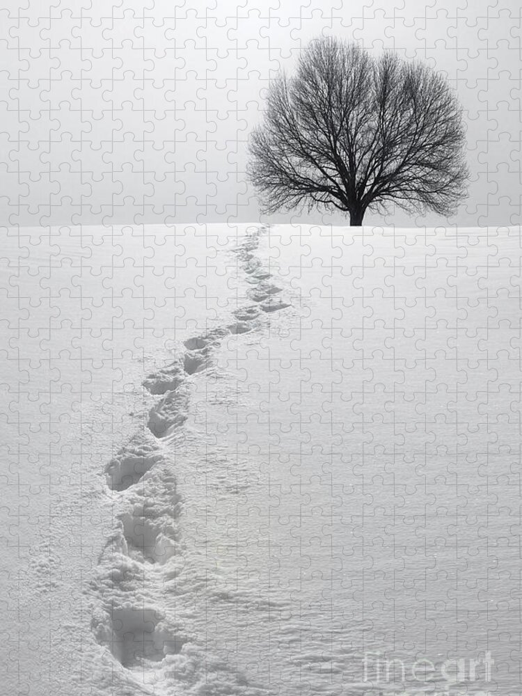 Tree Jigsaw Puzzle featuring the photograph Snowy Path by Diane Diederich