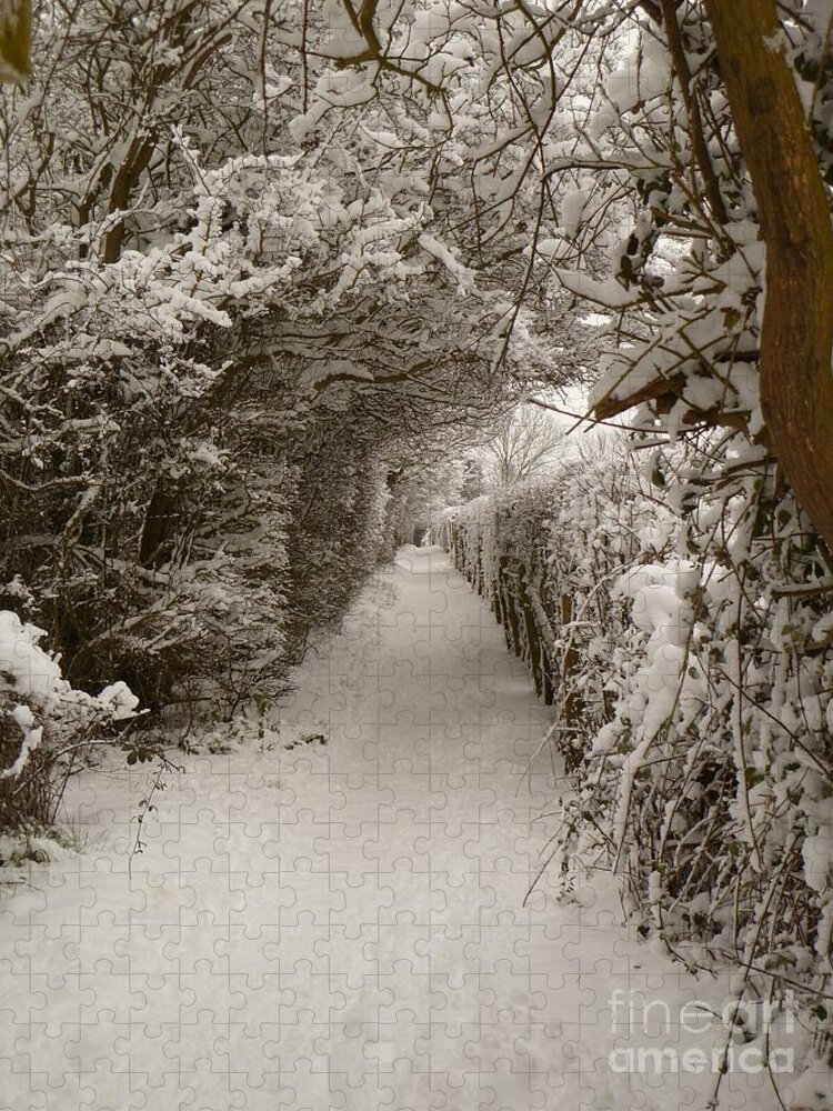 Snow Jigsaw Puzzle featuring the photograph Snowy Path by Vicki Spindler