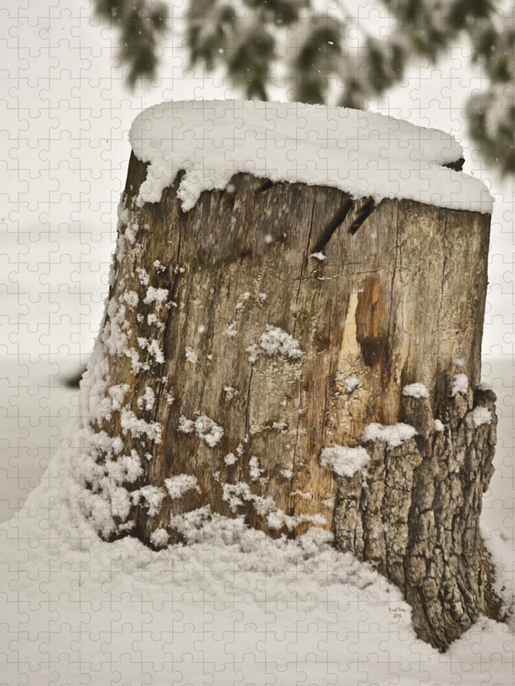 Snow Jigsaw Puzzle featuring the mixed media Snowy Stumptown by Trish Tritz