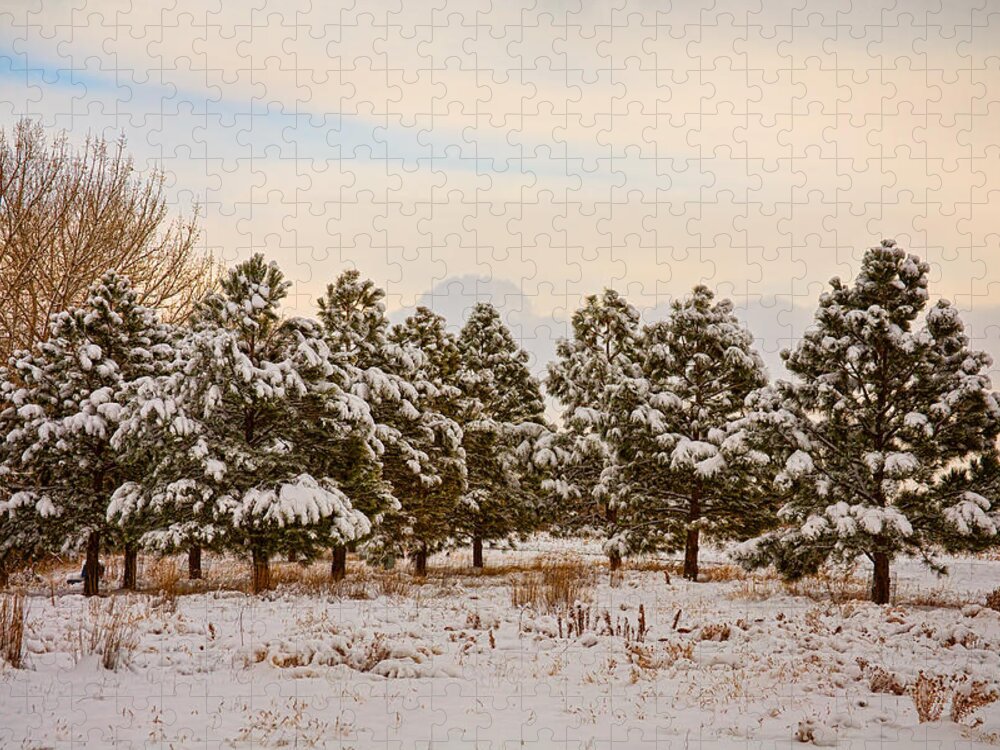 Snow Jigsaw Puzzle featuring the photograph Snowy Winter Pine Trees by James BO Insogna
