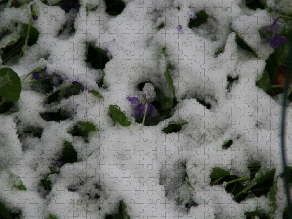 Snow Jigsaw Puzzle featuring the photograph So much for an early spring by David S Reynolds