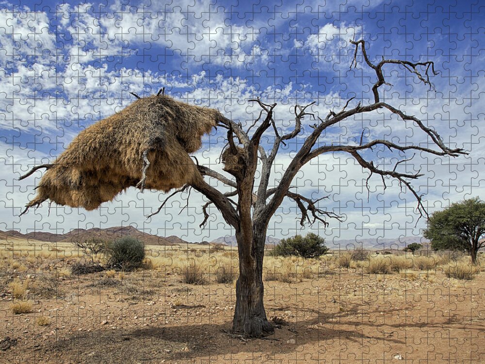 Nis Jigsaw Puzzle featuring the photograph Sociable Weaver Nest Namib Desert by Alexander Koenders