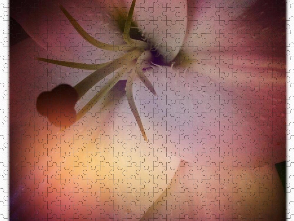 Lily Jigsaw Puzzle featuring the photograph Softness by Denise Railey