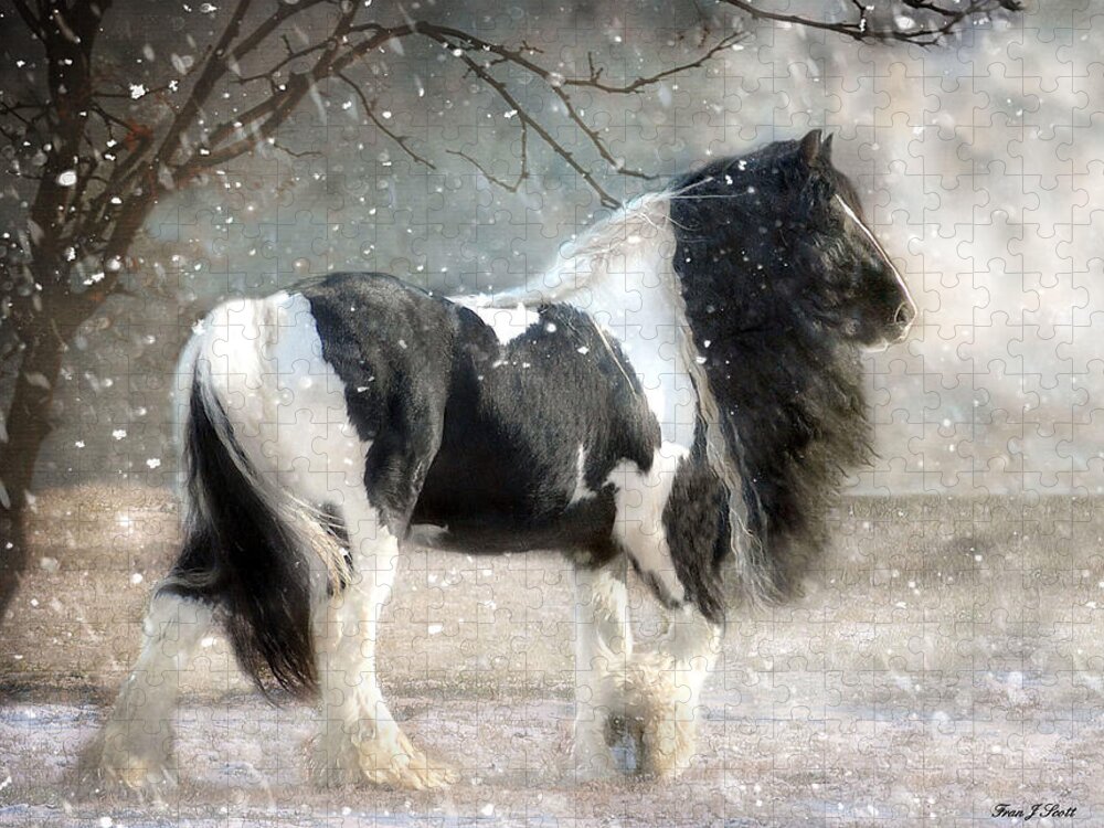 Horse Photographs Jigsaw Puzzle featuring the photograph Solitary by Fran J Scott