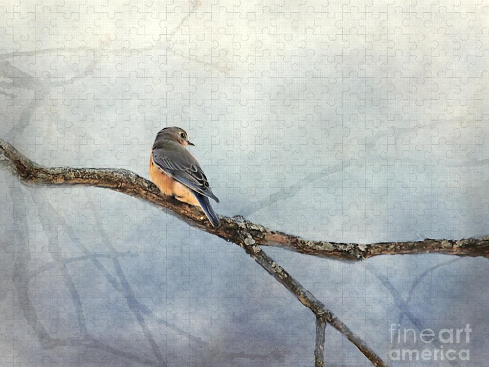 Bird Jigsaw Puzzle featuring the photograph Solitude by Jai Johnson