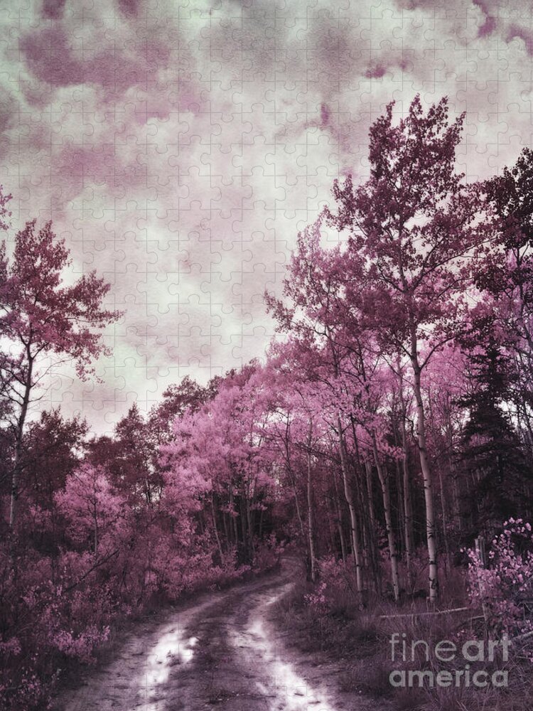 Path Jigsaw Puzzle featuring the photograph Sometimes My World Turns Pink by Priska Wettstein