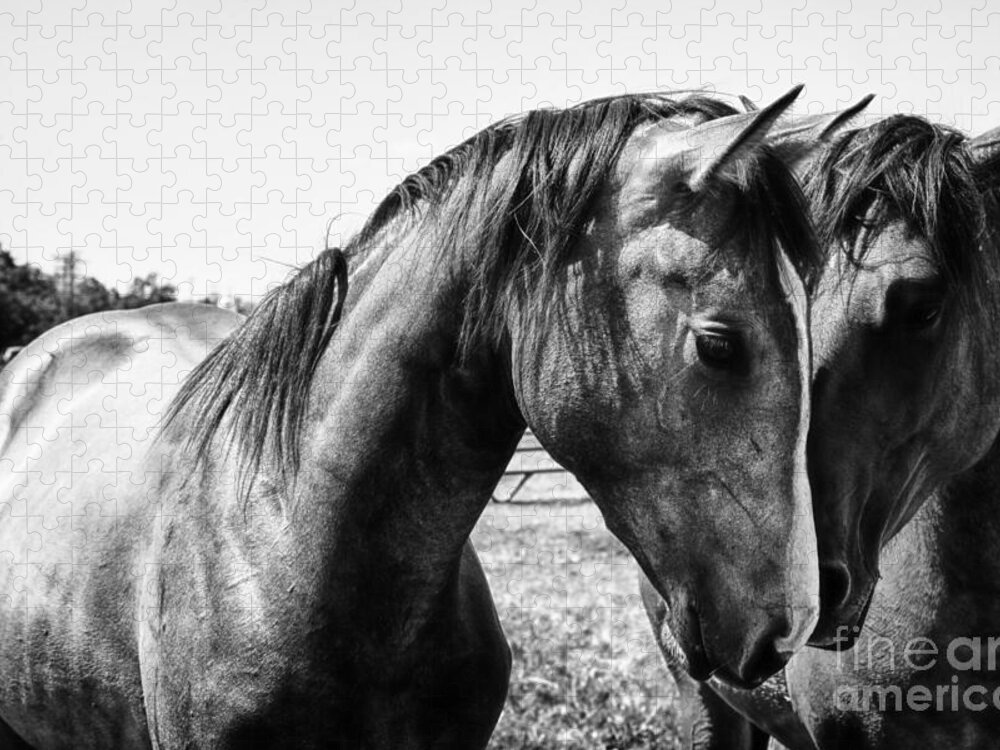 Horses Jigsaw Puzzle featuring the photograph Soul Mates by Toni Hopper