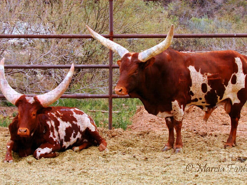 Arizona Jigsaw Puzzle featuring the photograph Southwest Long Horn Bulls by Tap On Photo