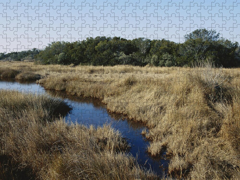 1997 Jigsaw Puzzle featuring the photograph Spartina Marsh In Virginia by Carleton Ray