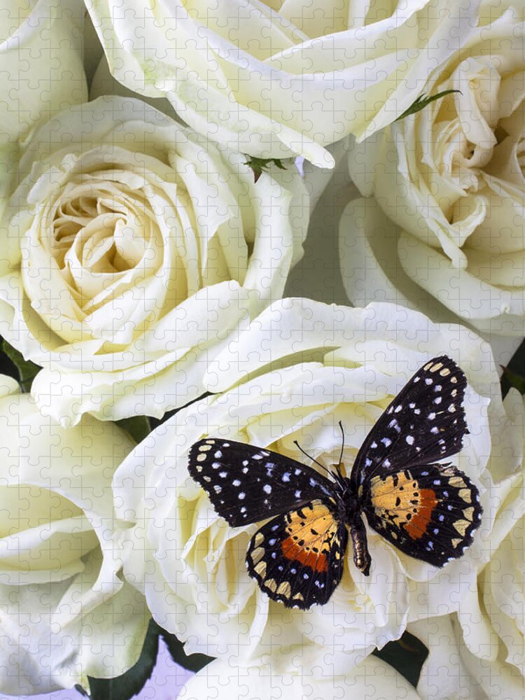 Speckled Butterfly Jigsaw Puzzle featuring the photograph Speckled butterfly on white rose by Garry Gay