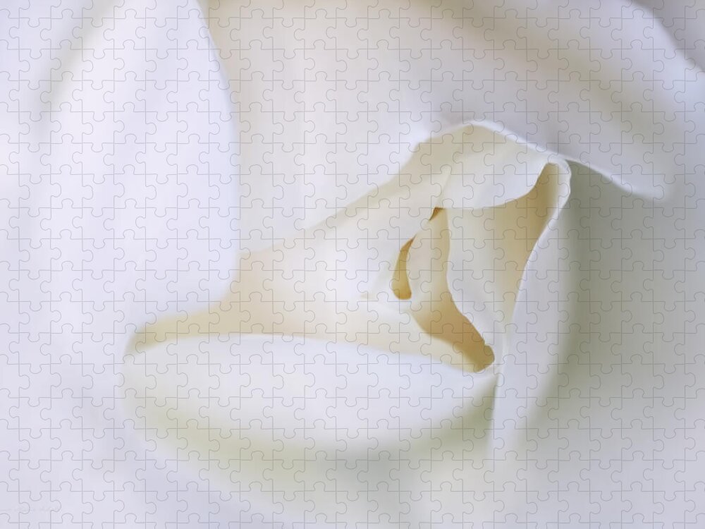 Rose Jigsaw Puzzle featuring the photograph Spirit White Rose Flower Macro by Jennie Marie Schell