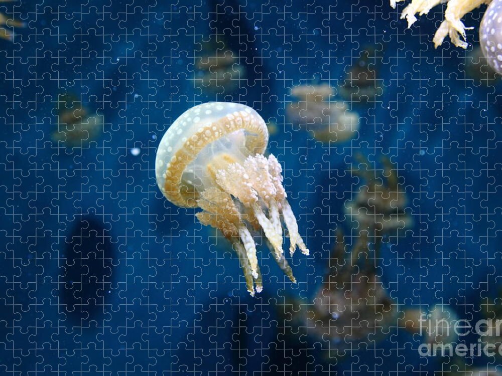 Jelly Jigsaw Puzzle featuring the photograph Spotted Jelly Fish 5D24950 by Wingsdomain Art and Photography
