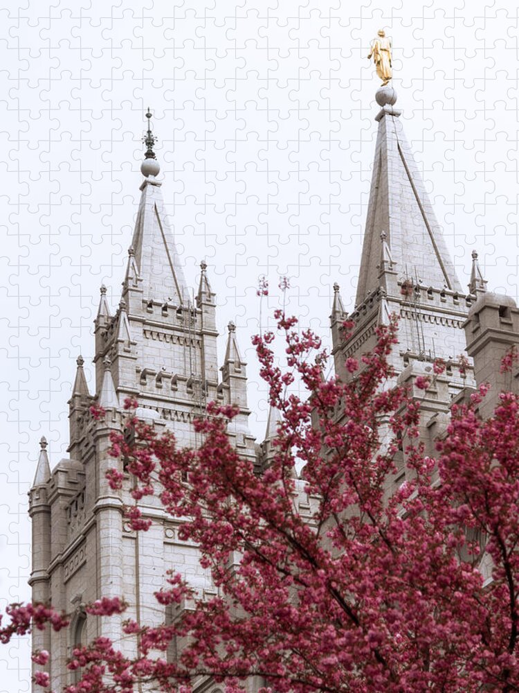Spring At The Temple Jigsaw Puzzle featuring the photograph Spring at the Temple by Chad Dutson