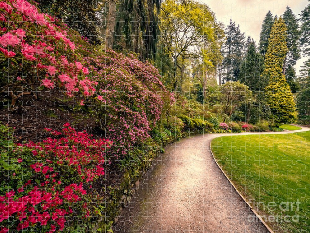 Cymru Jigsaw Puzzle featuring the photograph Spring Footpath by Adrian Evans