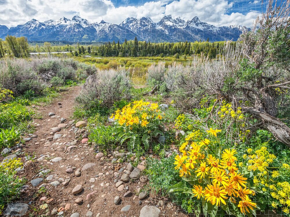 Grand Teton National Park Jigsaw Puzzle featuring the photograph Spring trails through the Grand Tetons by Sylvia J Zarco