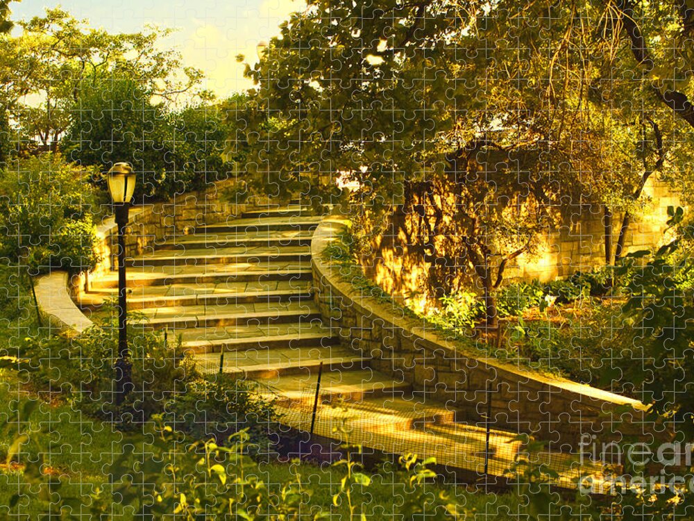 Park Jigsaw Puzzle featuring the photograph Stairway To Nirvana by Madeline Ellis