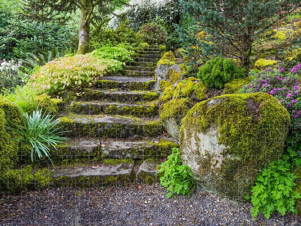 Stairway Jigsaw Puzzle featuring the photograph Stairway To The Secret Garden by Priya Ghose