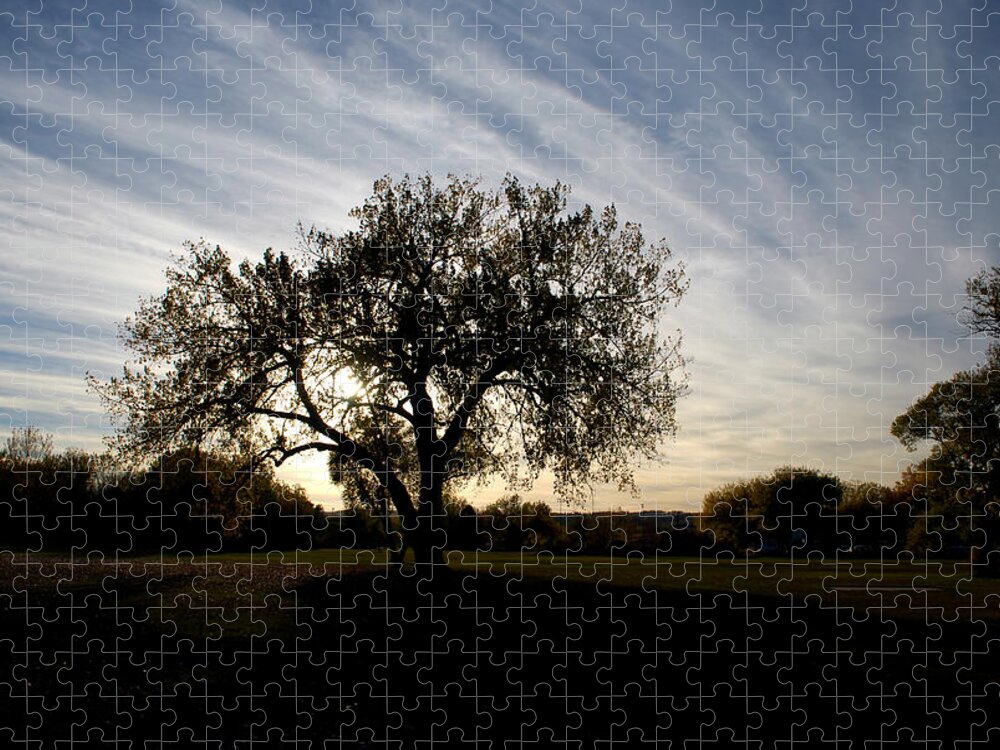 Tree Jigsaw Puzzle featuring the photograph Standing Alone Against the Evening Sky by Greni Graph