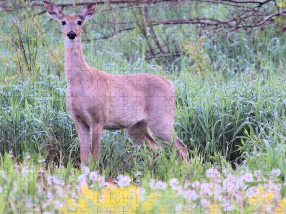 Doe Jigsaw Puzzle featuring the photograph Stare Down by Bonfire Photography