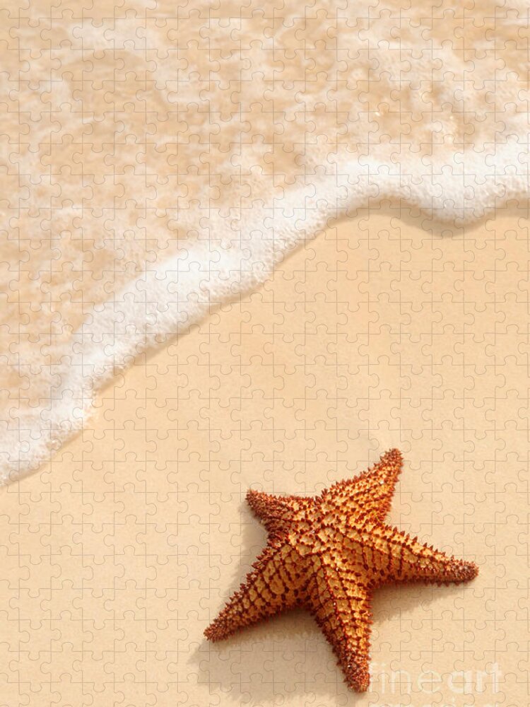Starfish Jigsaw Puzzle featuring the photograph Starfish and ocean wave by Elena Elisseeva