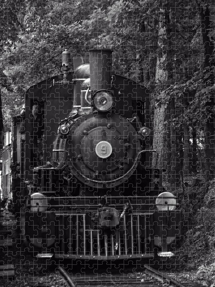 Steam Engine Train Jigsaw Puzzle featuring the photograph Steam engine train by Flees Photos