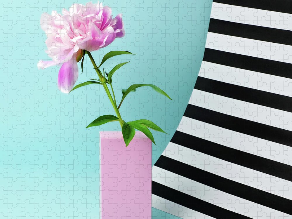 Vase Jigsaw Puzzle featuring the photograph Still Life With Pink Peony And Striped by Juj Winn