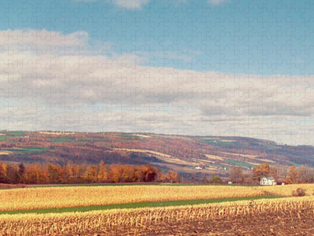 Landscape Jigsaw Puzzle featuring the photograph Stockbridge Valley by Peter Rashford