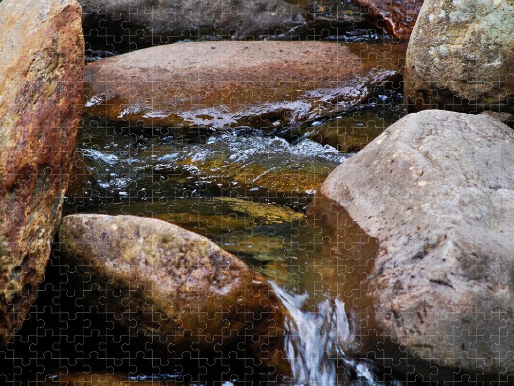 Creek Jigsaw Puzzle featuring the photograph Stones Flow by Christi Kraft
