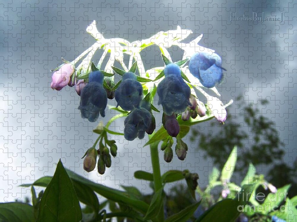 Blue Jigsaw Puzzle featuring the photograph Stormy Bluebells by Jamie Johnson