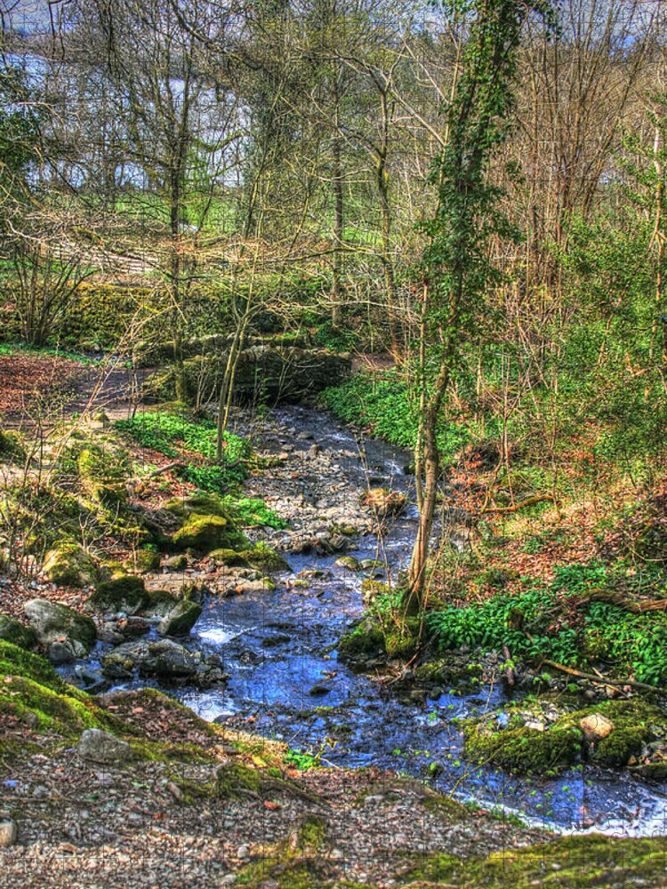 Road Jigsaw Puzzle featuring the photograph Stream In Wales by Doc Braham