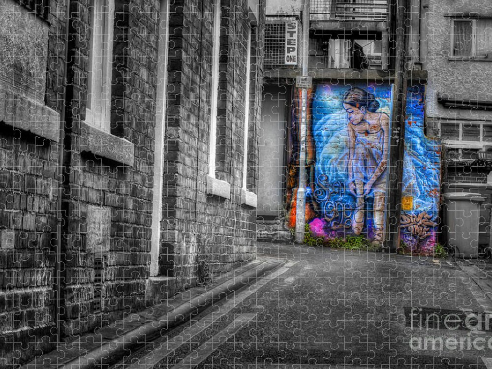 Art Jigsaw Puzzle featuring the photograph Street Art by Ian Mitchell