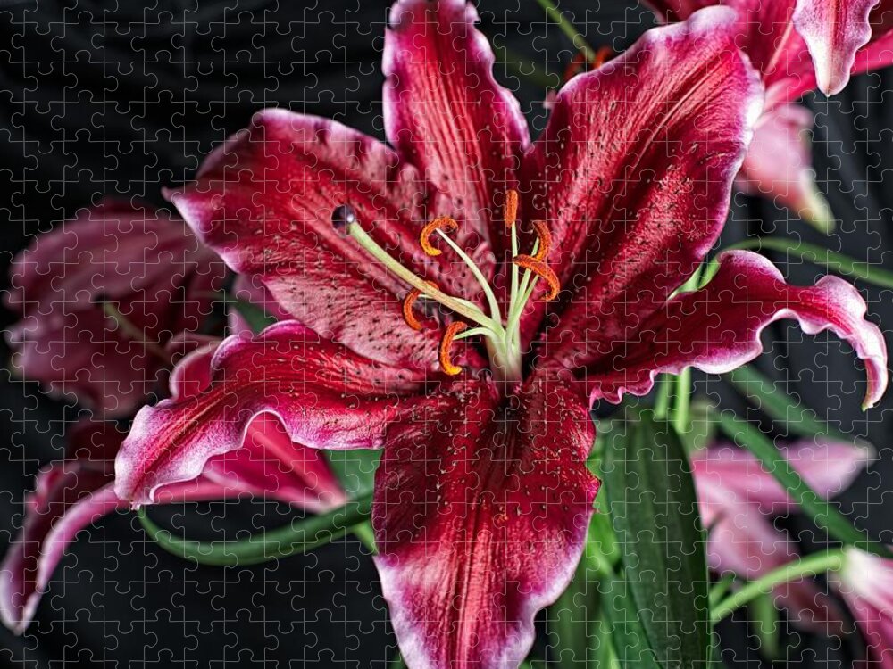 Flower Jigsaw Puzzle featuring the photograph Sumatran Lily by Dave Files