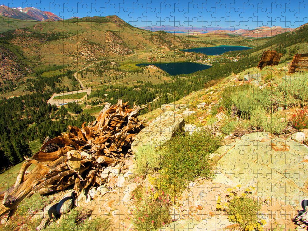 June Mountain Jigsaw Puzzle featuring the photograph Summer At June by Adam Jewell