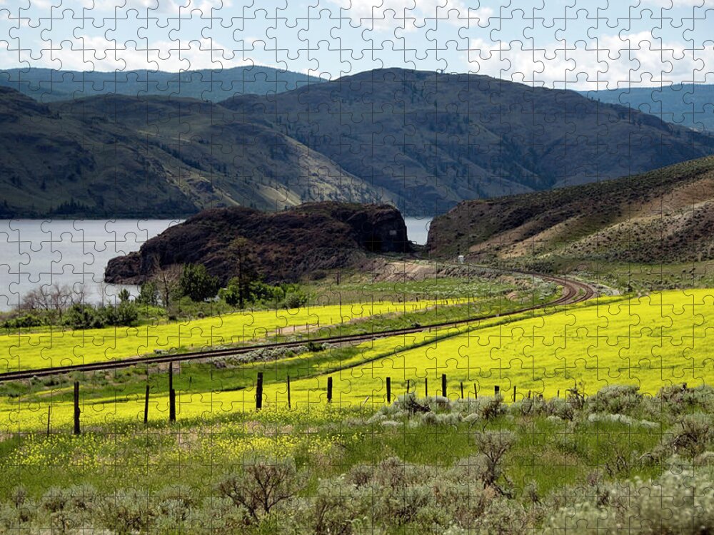 Tranquility Jigsaw Puzzle featuring the photograph Summer Fields by Jeannette Strand