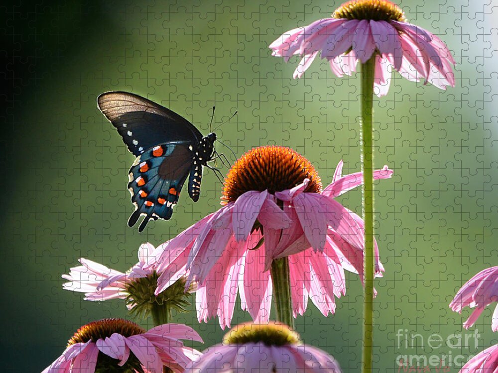 Floral Jigsaw Puzzle featuring the photograph Summer Morning Light by Nava Thompson