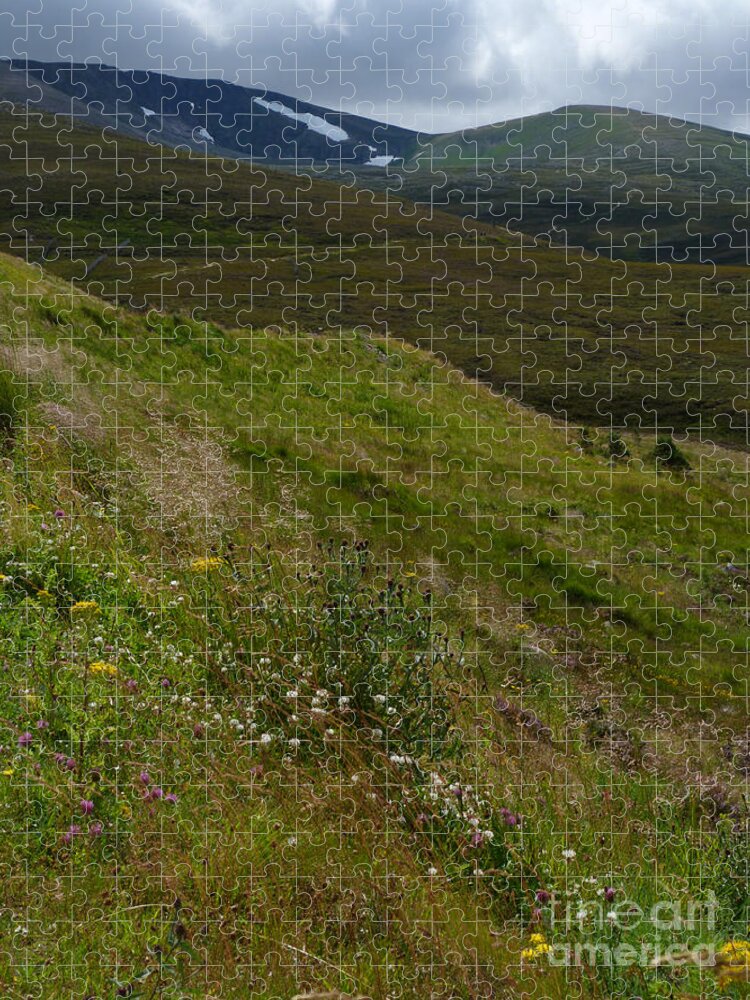 Seasons Jigsaw Puzzle featuring the photograph Summer snow patches - Cairngorm Mountains by Phil Banks