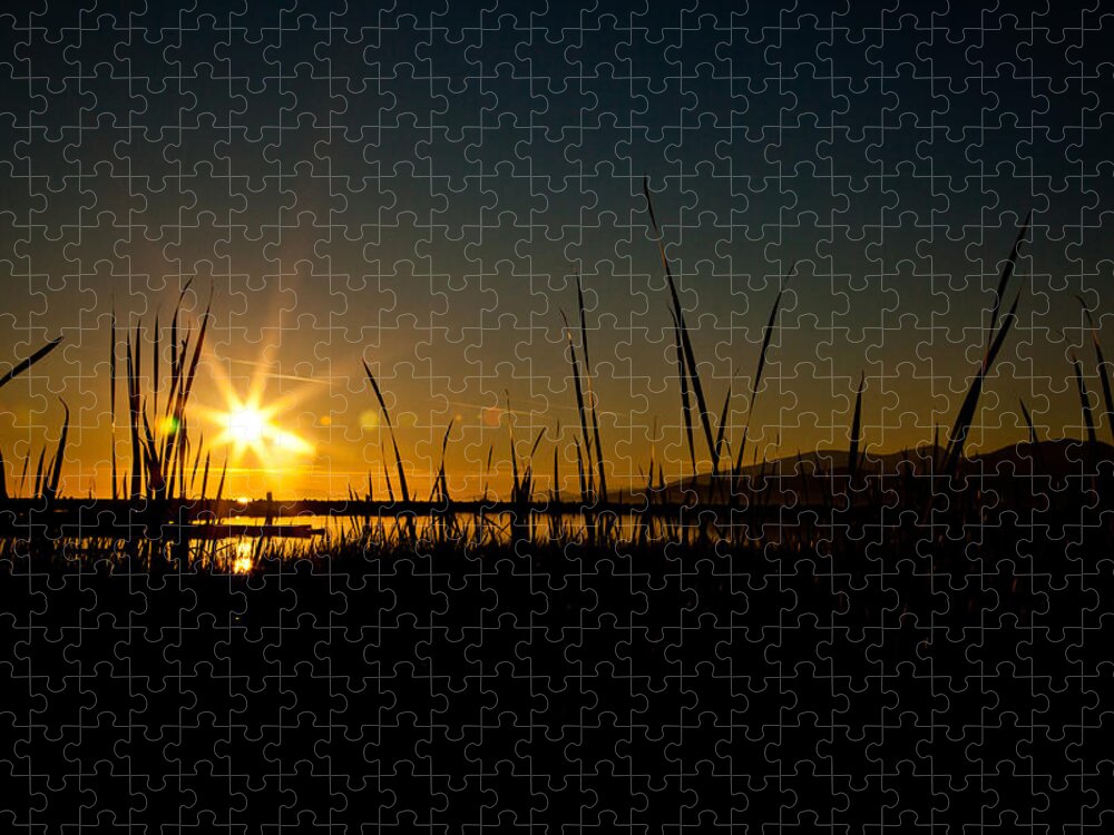 Sun Jigsaw Puzzle featuring the photograph Summer Sun by Monte Arnold