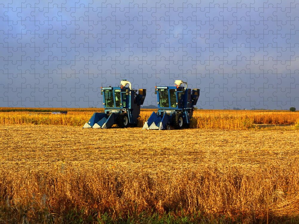 Tractors Jigsaw Puzzle featuring the photograph Sunday Morning by Viviana Nadowski