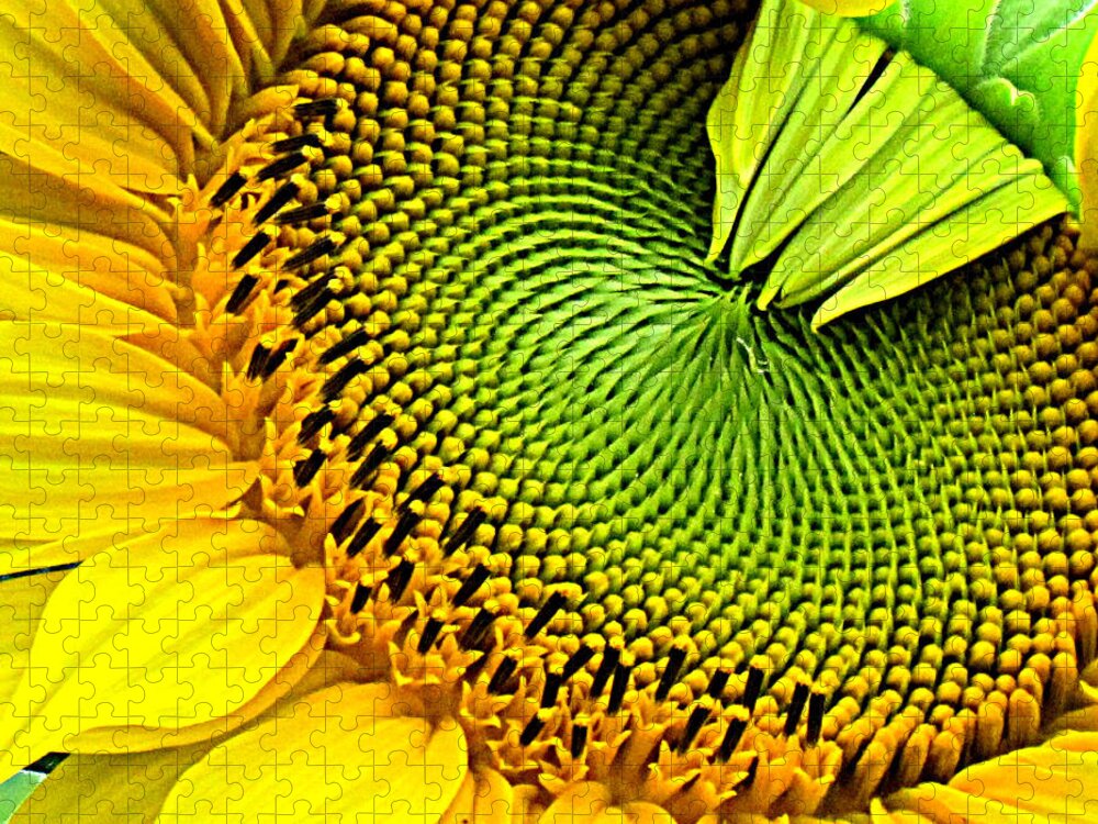 Flowers Jigsaw Puzzle featuring the photograph Kaleidescope Sunflower by Lori Lafargue