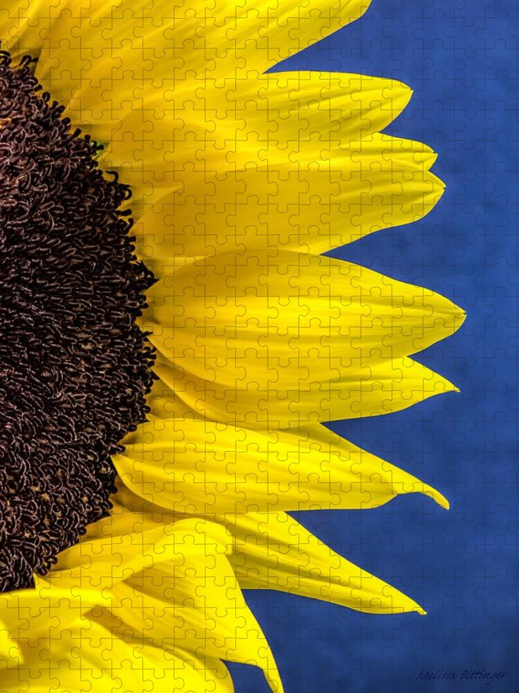 Sunflower Peek A Boo Jigsaw Puzzle featuring the photograph Sunflower Peek On Blue by Melissa Bittinger