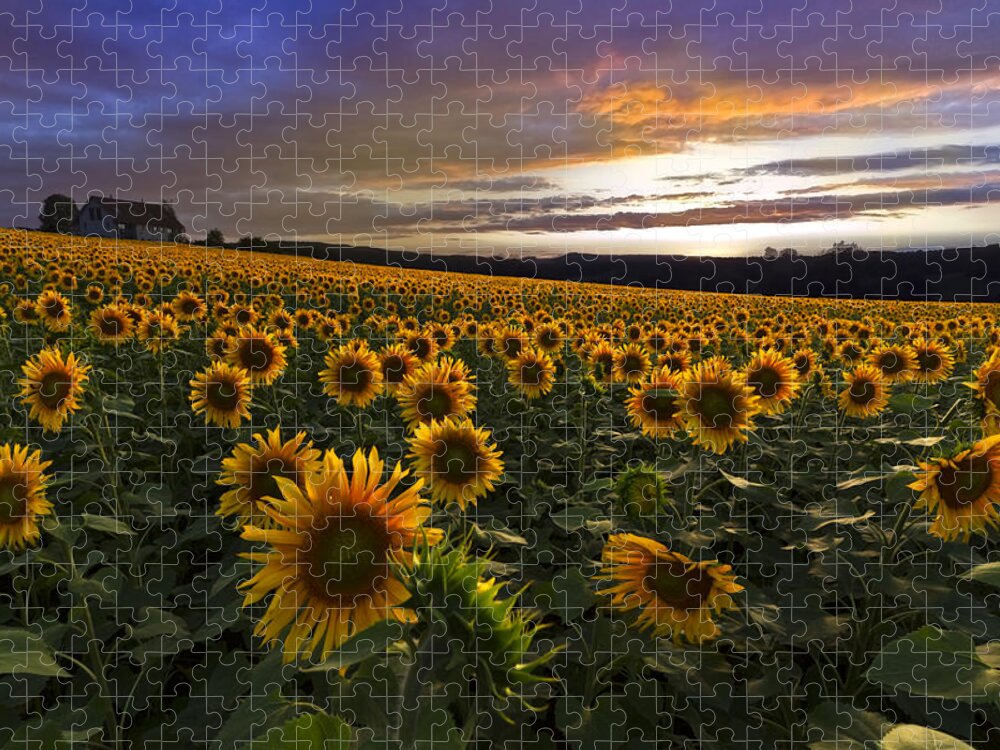 Austria Jigsaw Puzzle featuring the photograph Sunflower Sunset by Debra and Dave Vanderlaan