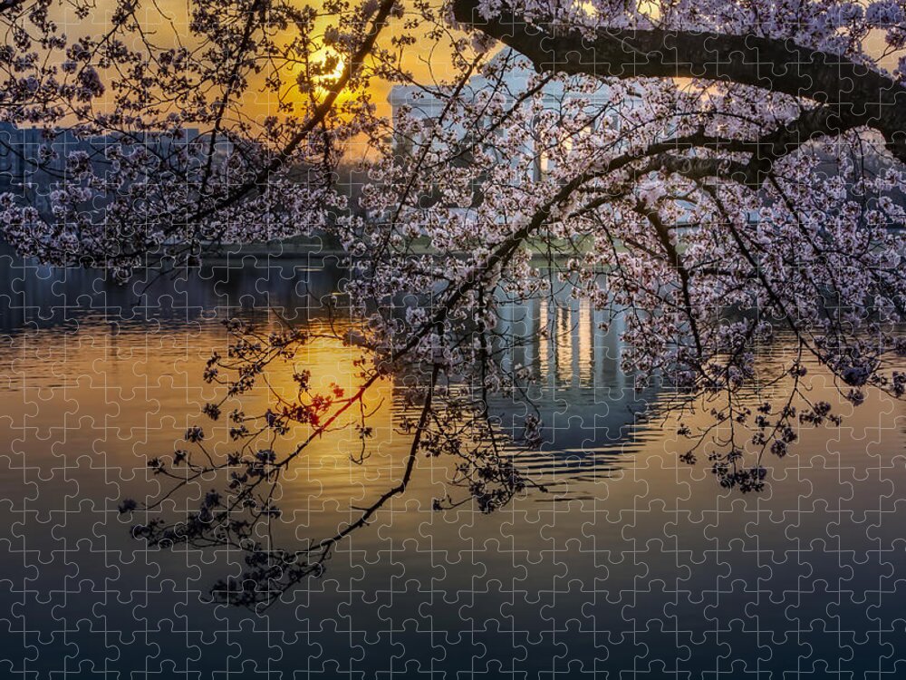 Thomas Jefferson Memorial Jigsaw Puzzle featuring the photograph Sunrise At The Thomas Jefferson Memorial by Susan Candelario