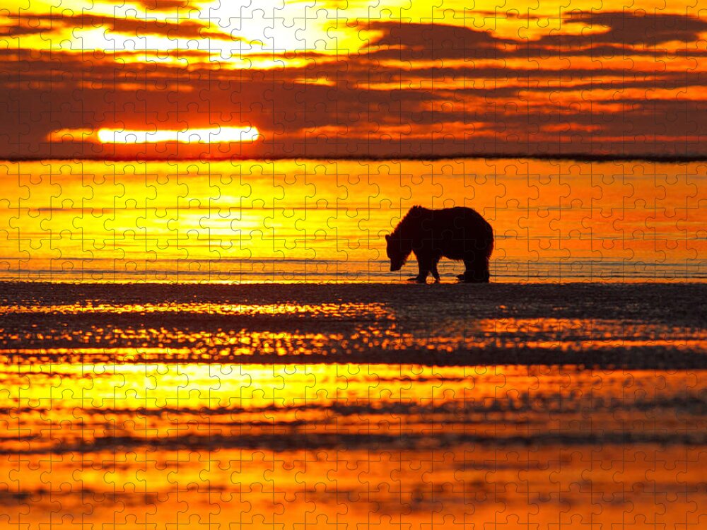 Sunrise Jigsaw Puzzle featuring the photograph Sunrise Bear by Shari Sommerfeld