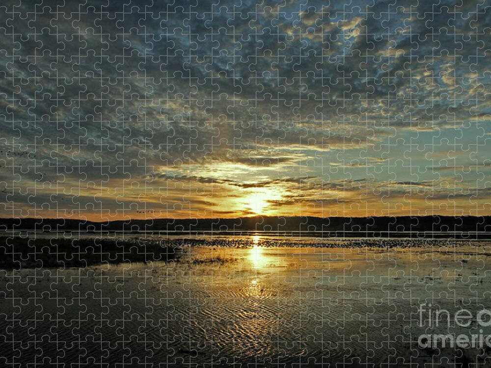 Sunrise Jigsaw Puzzle featuring the photograph Sunrise Arrivals by Elizabeth Winter