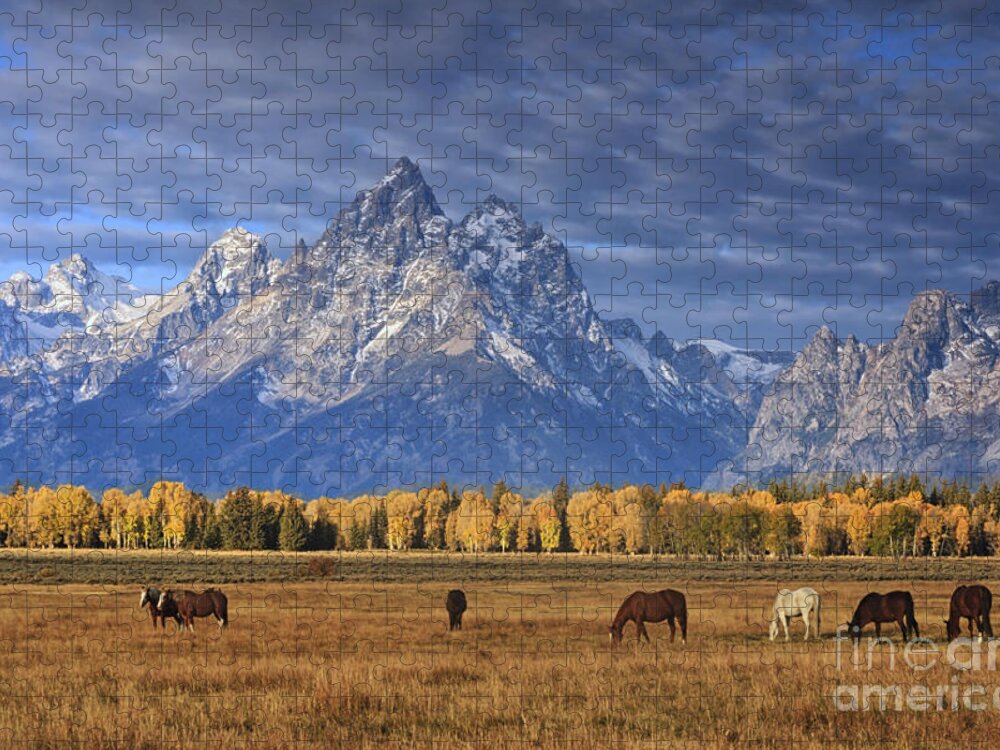Wyoming Jigsaw Puzzle featuring the photograph Sunrise Grazing by Mark Kiver