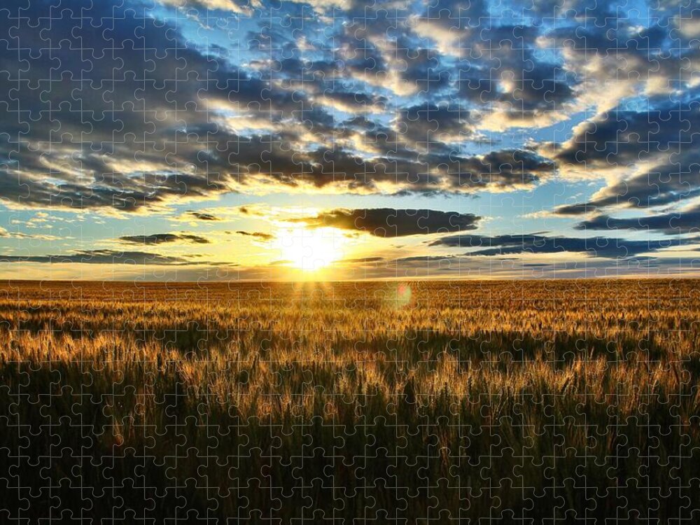 Sunrise Jigsaw Puzzle featuring the photograph Sunrise on the wheat field by Lynn Hopwood