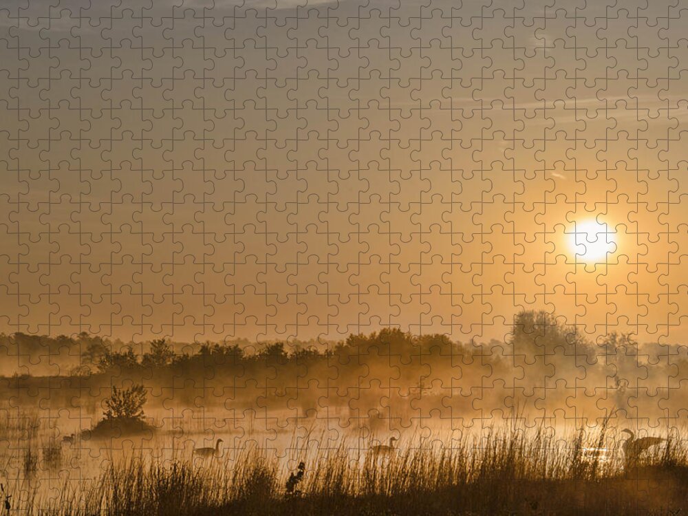 Sunrise Jigsaw Puzzle featuring the photograph Sunrise With The Geese by Beth Sawickie
