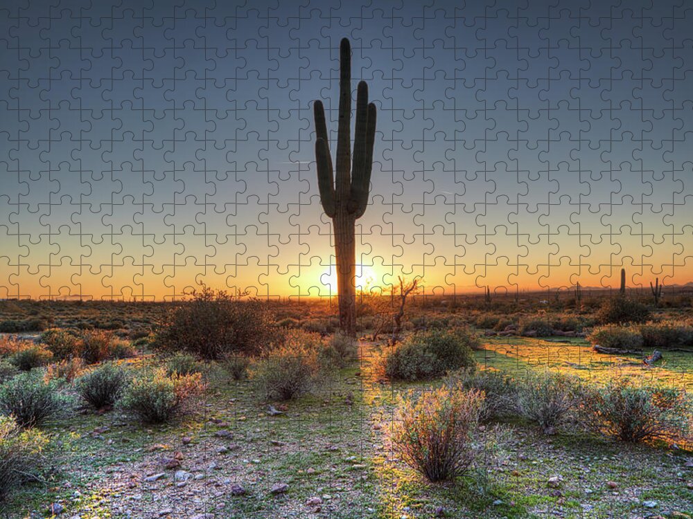 Tranquility Jigsaw Puzzle featuring the photograph Sunset At Desert by Tonic Photo Studios