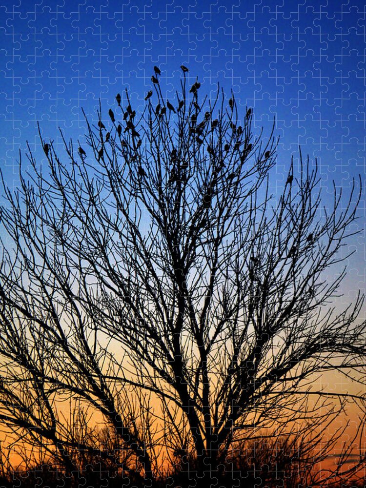 Flock Jigsaw Puzzle featuring the photograph Sunset Flock by Gary Mosman